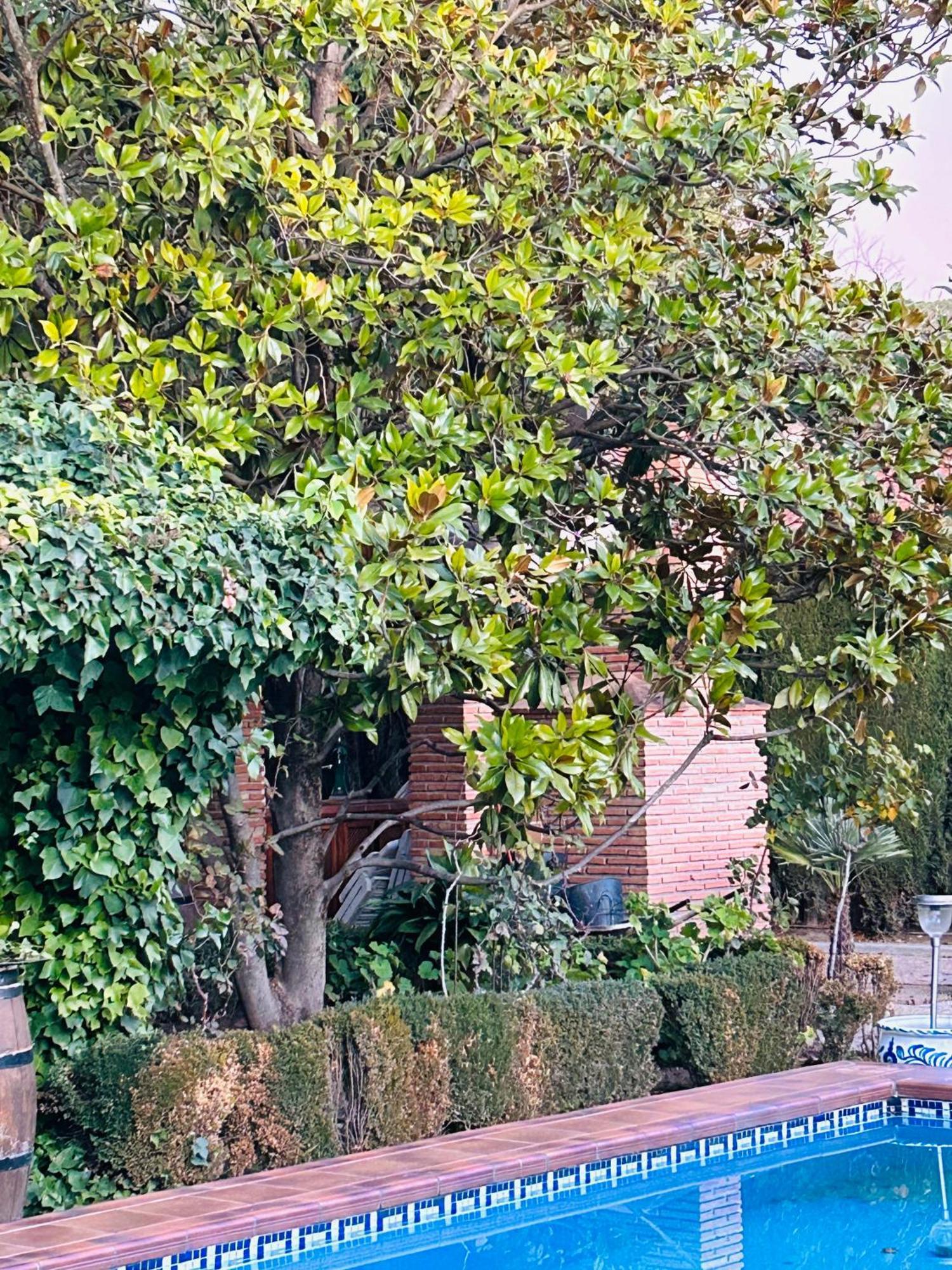 Casa Los Rosales Alfacar Exterior photo