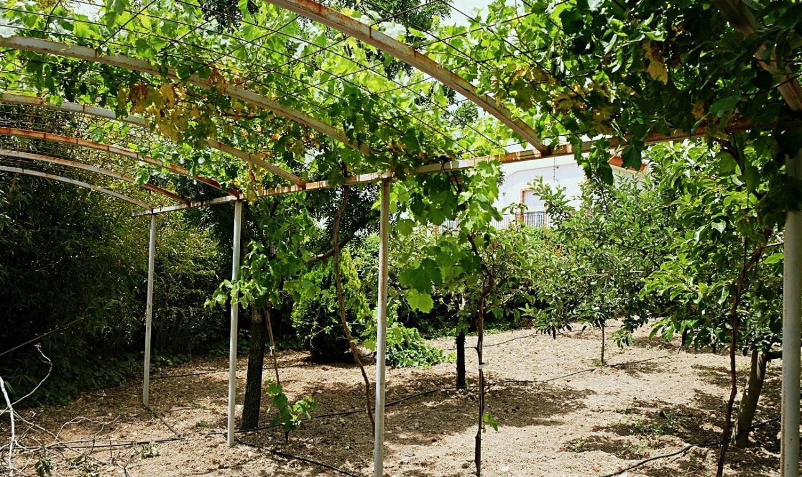 Casa Los Rosales Alfacar Exterior photo